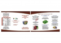 Program razvoja ruralne konkurentnosti RCDP