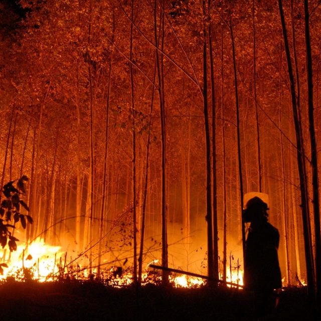 Općina Konjic nastavlja projekat “Upravljanje rizicima od požara”